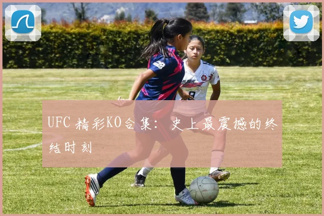 UFC 精彩KO合集:史上最震撼的终结时刻