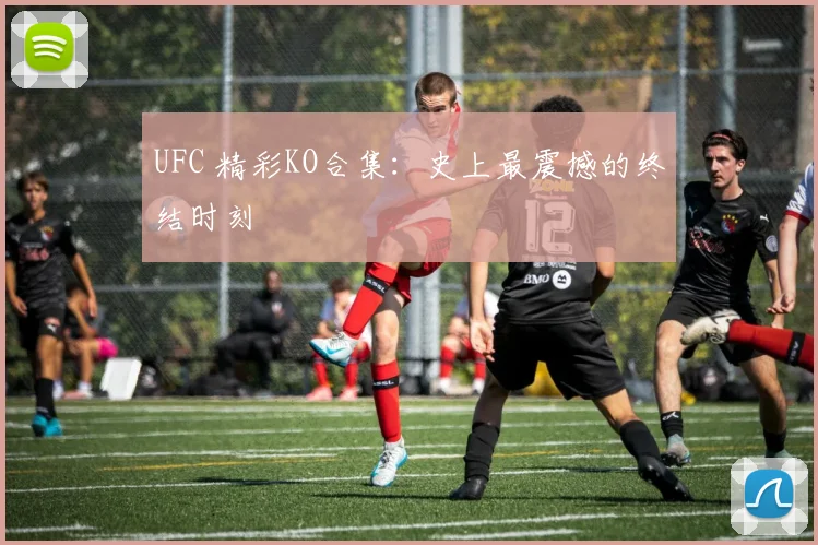 UFC 精彩KO合集：史上最震撼的终结时刻